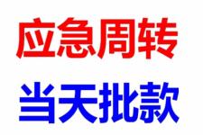 咸寧嘉魚(yú)典當(dāng)與抵押信息發(fā)布指南